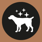 iconos-economica-dog-menu-03